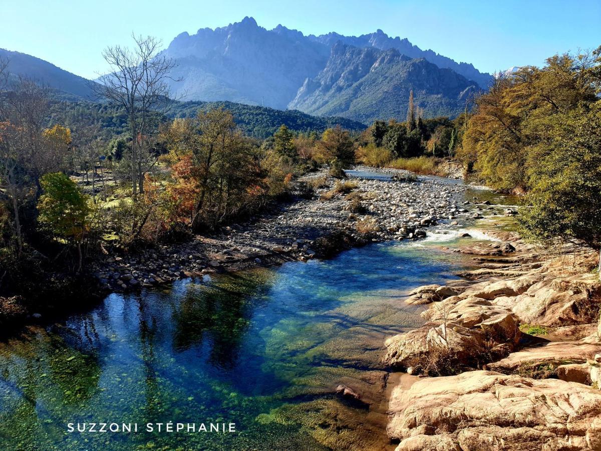 Domaine U Filanciu - Maison Chiara Avec Piscine - Centre Corse Moltifao エクステリア 写真